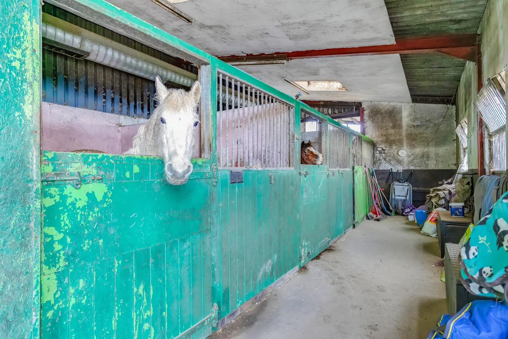 Ty Wyth Newydd Tredodridge, Cowbridge CF71 7UL